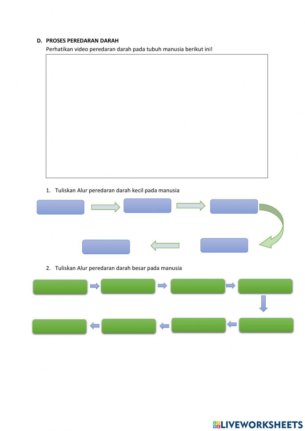 LKPD Sistem Peredaran Darah