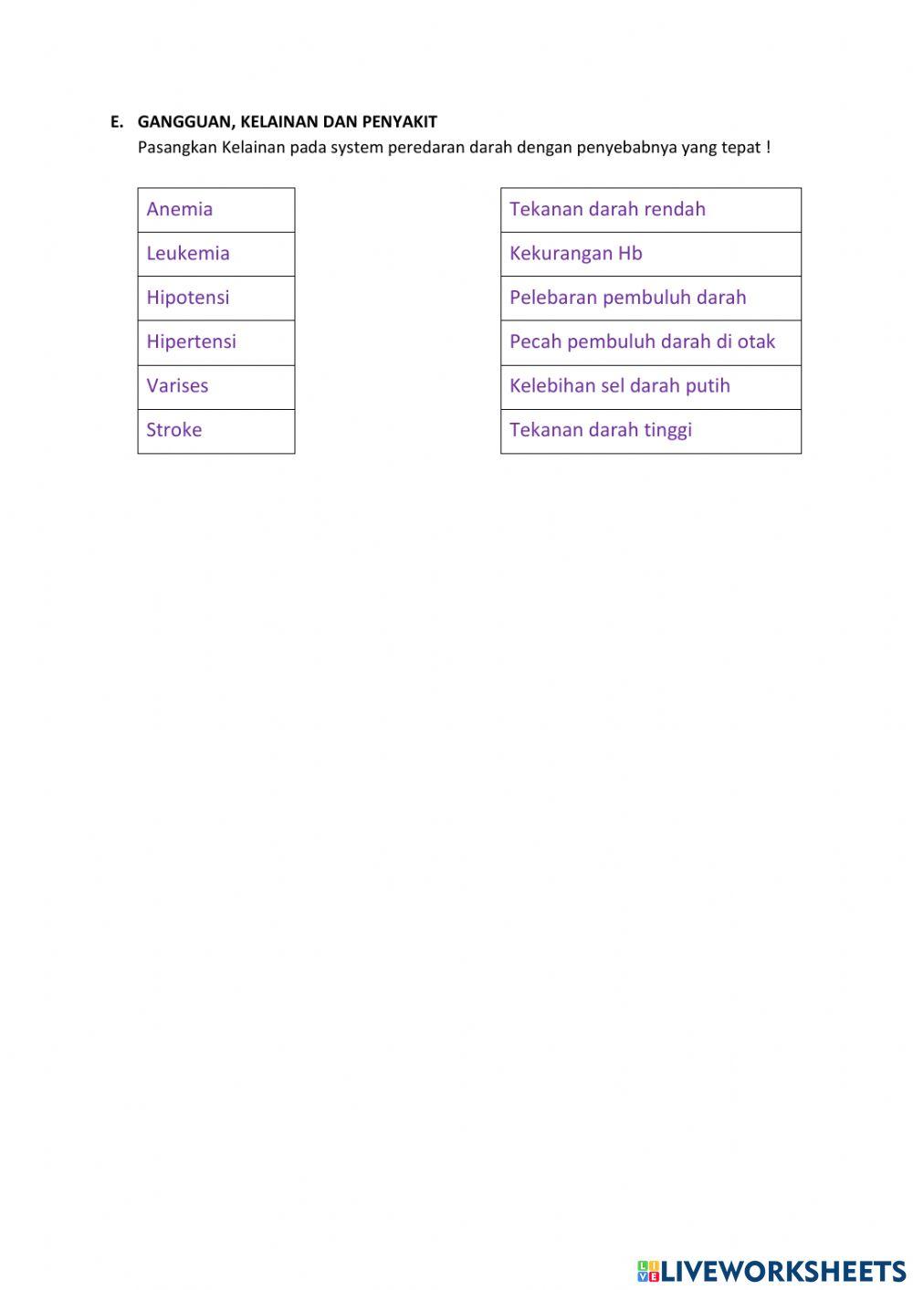 LKPD Sistem Peredaran Darah