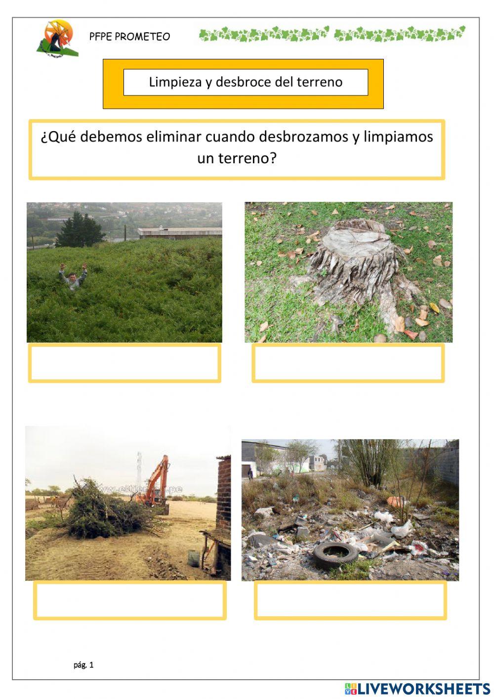 Limpieza y desbroce de terreno