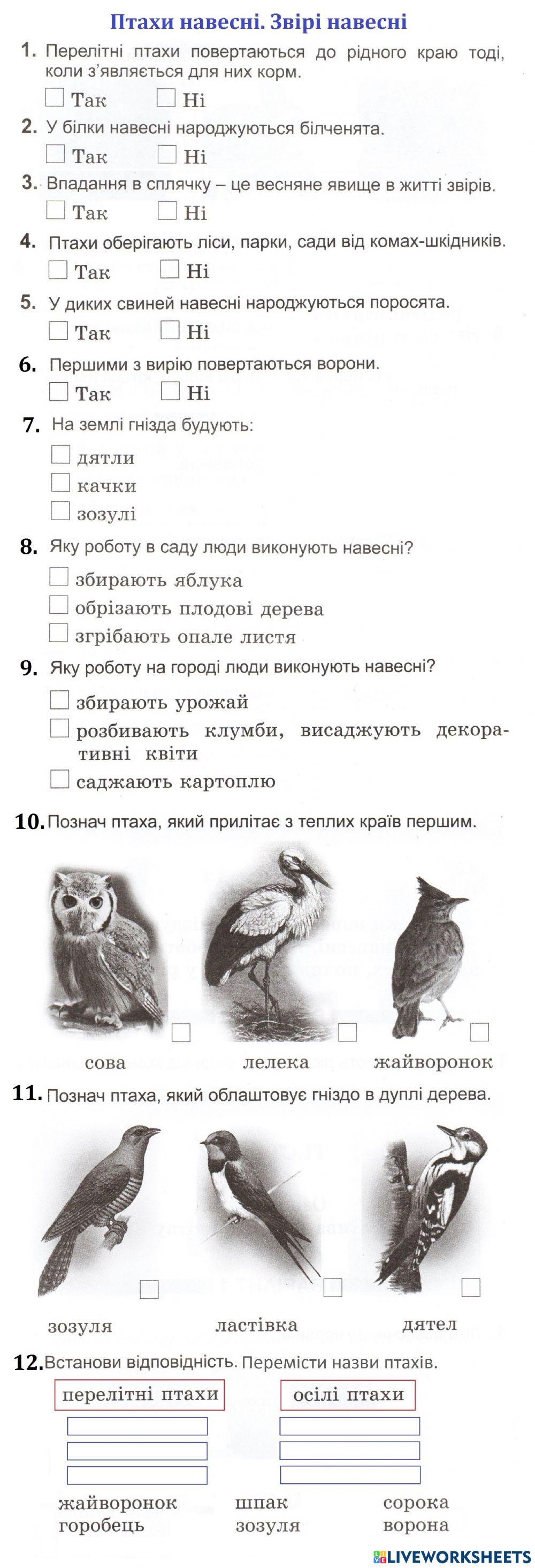 Я досліджую світ