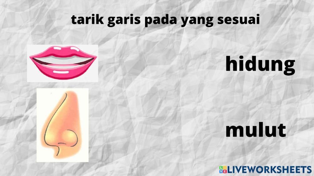 Percobaan Tarik Garis