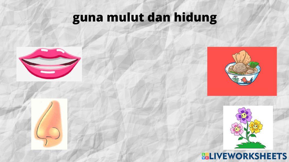 Percobaan Tarik Garis