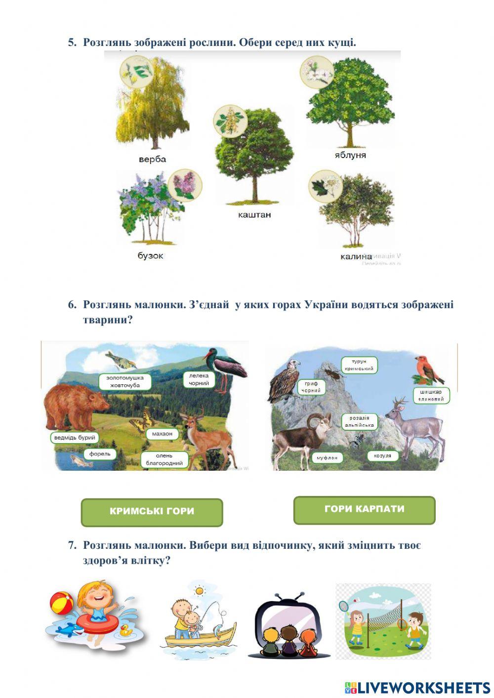 ЯДС. Діагностувальна робота