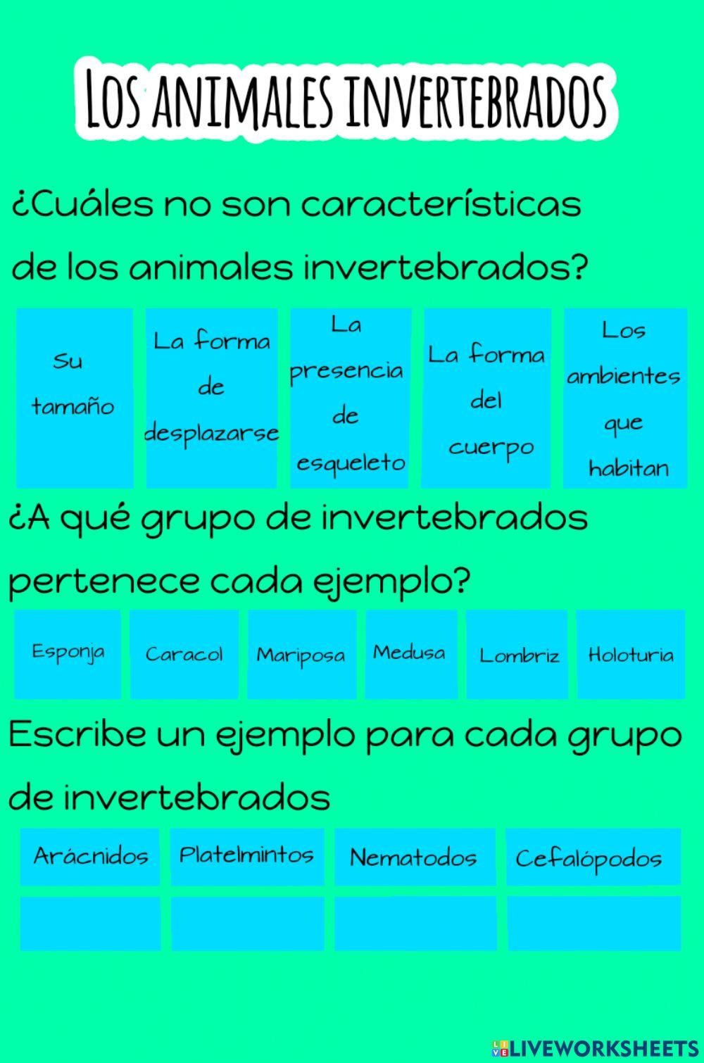 Los animales invertebrados