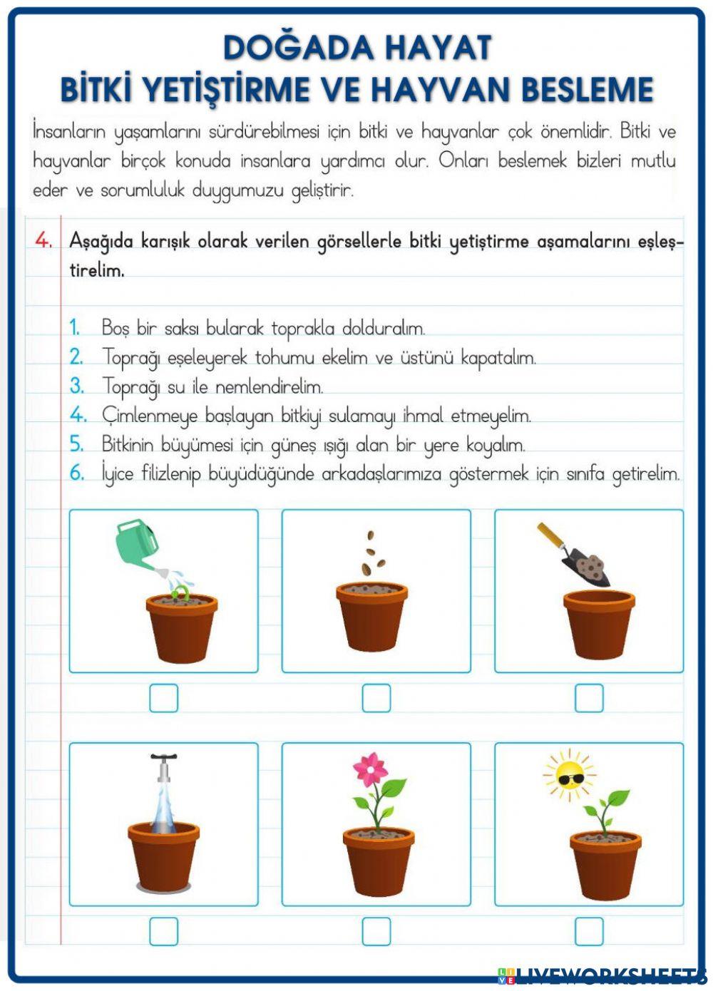Doğada Hayat-Bitki Yetiştirme ve Hayvan Besleme