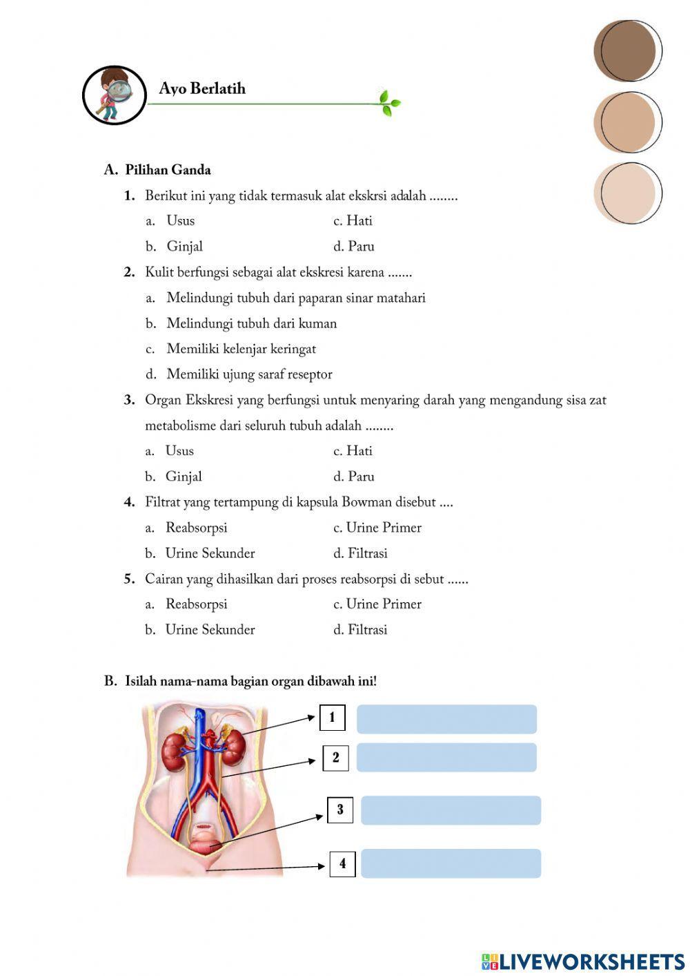 E-LKPD Sistem Eksresi