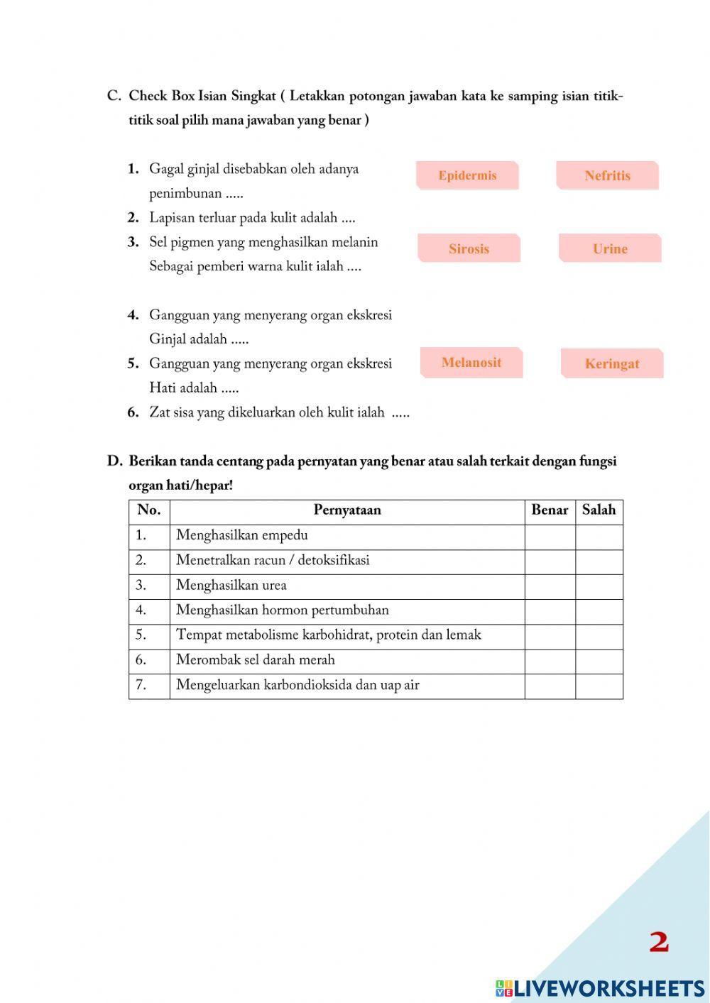 E-LKPD Sistem Eksresi