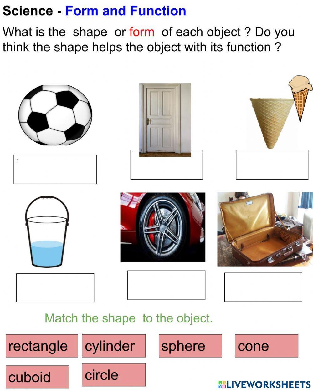 2039102 | Science - Form and Function | MrsBlackman