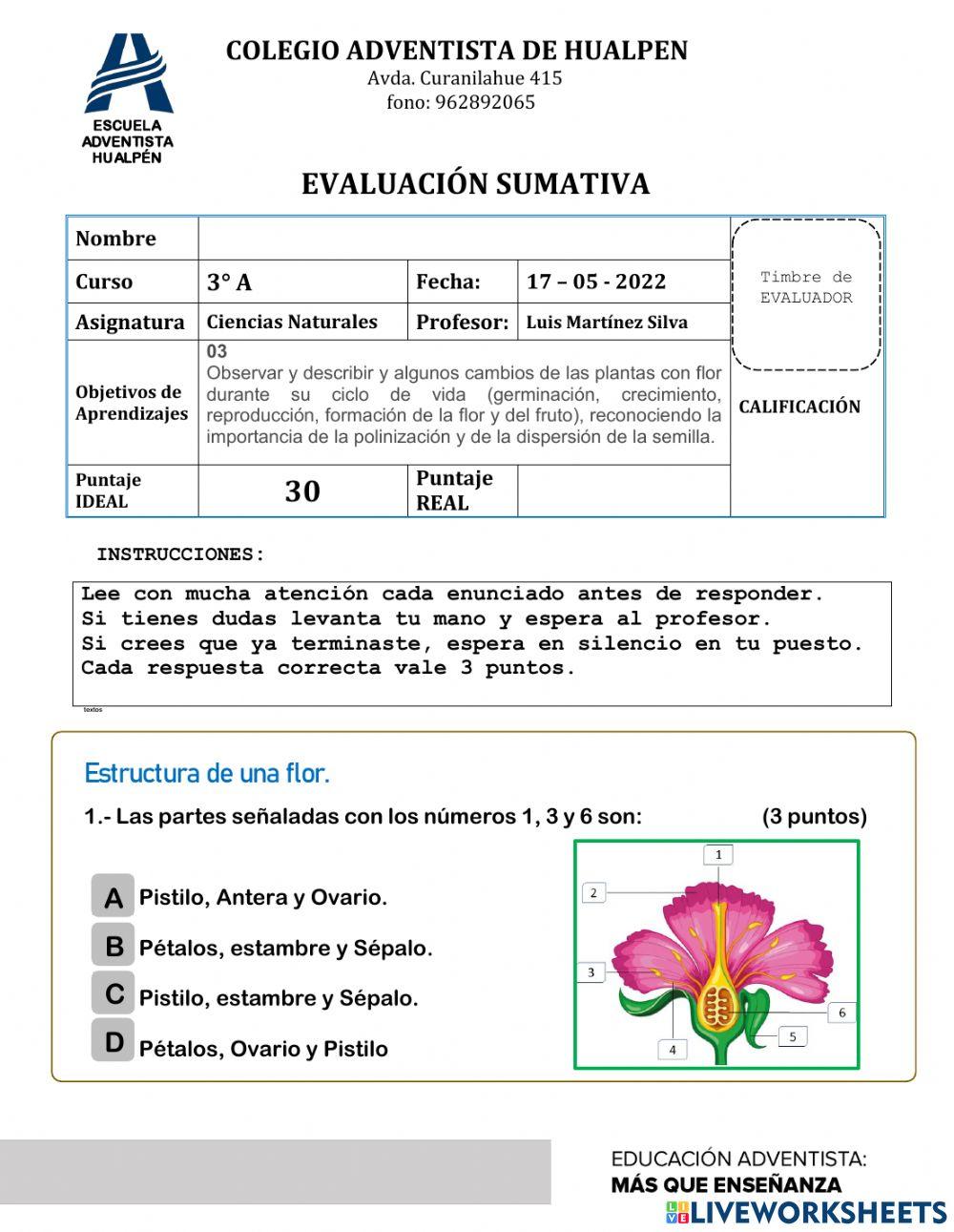 Evaluación Ciencias Naturales