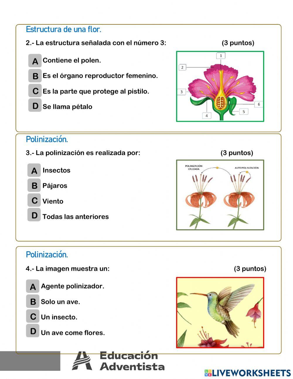 Evaluación Ciencias Naturales