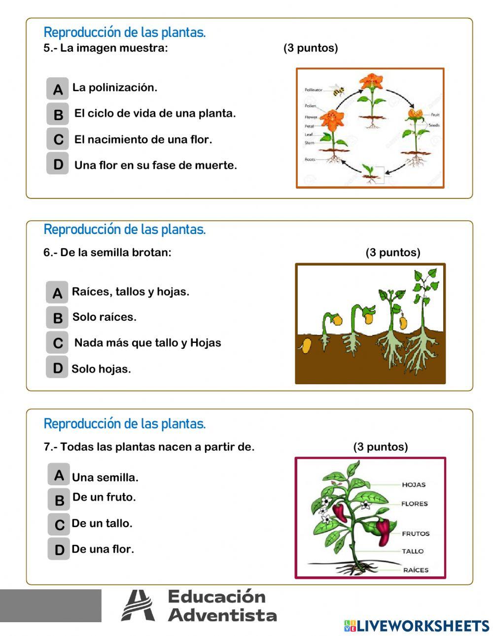 Evaluación Ciencias Naturales