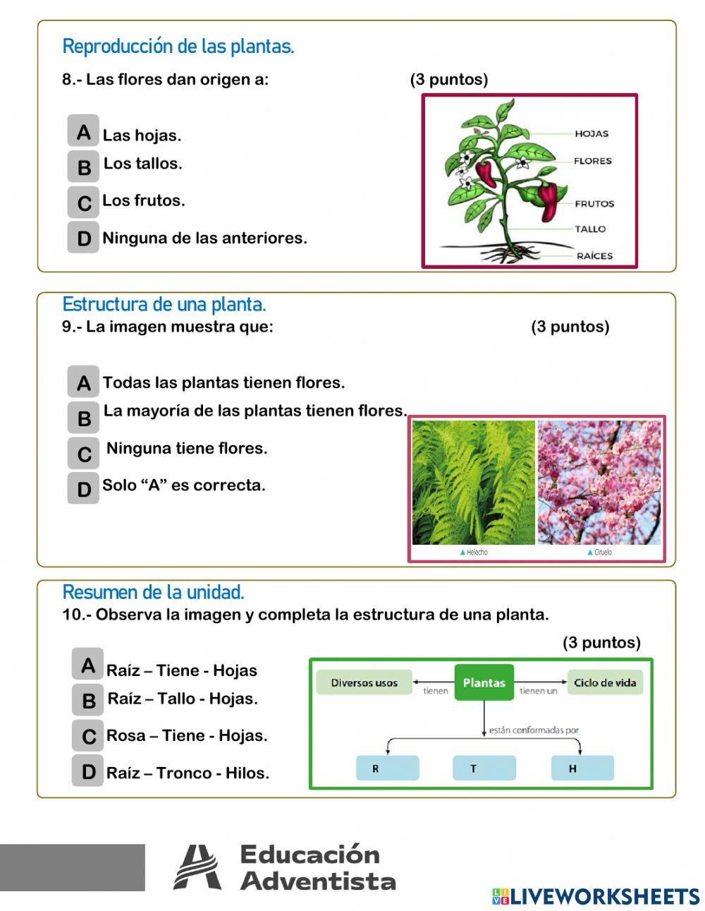 Evaluación Ciencias Naturales
