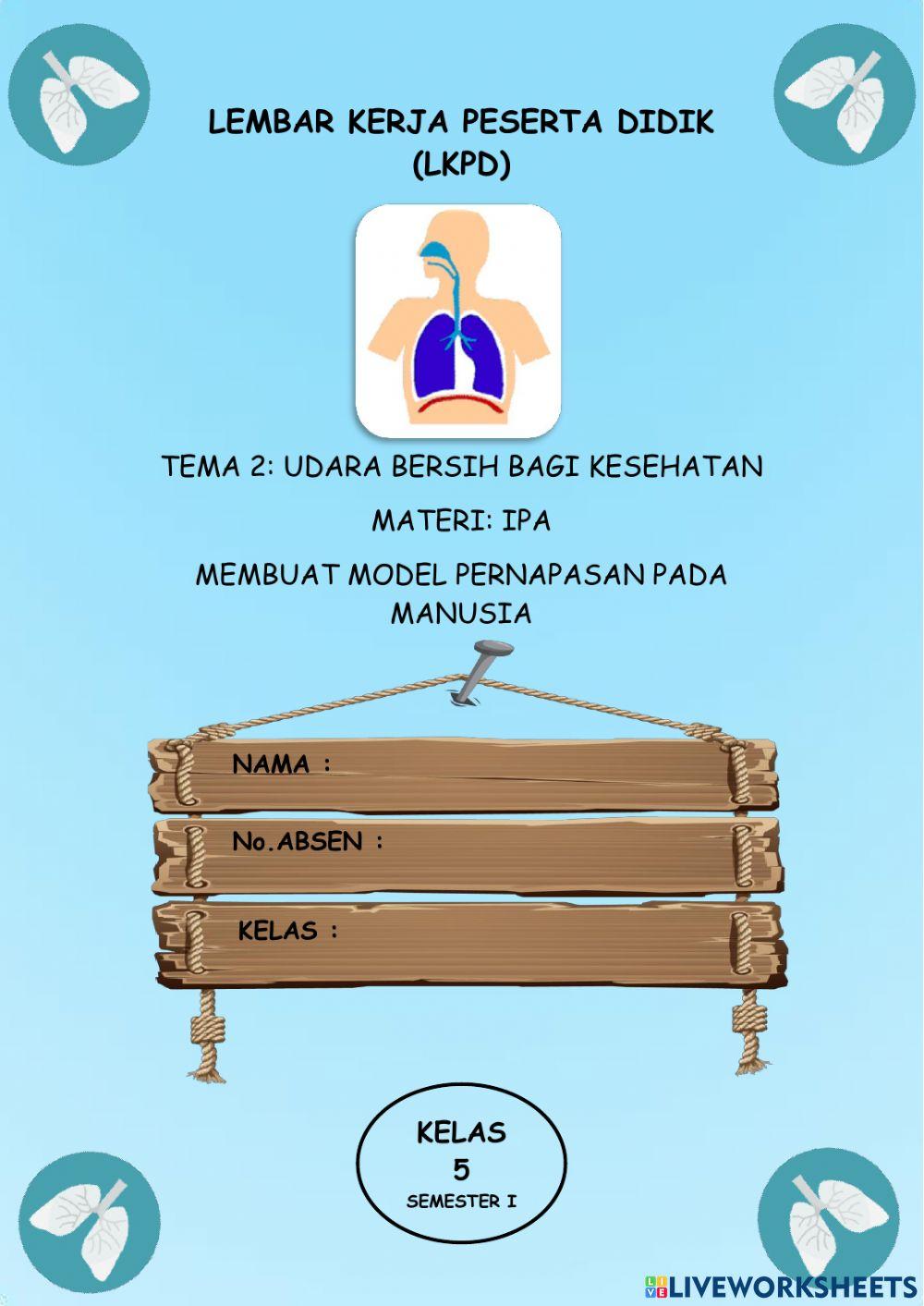 Sistem pernapasan manusia