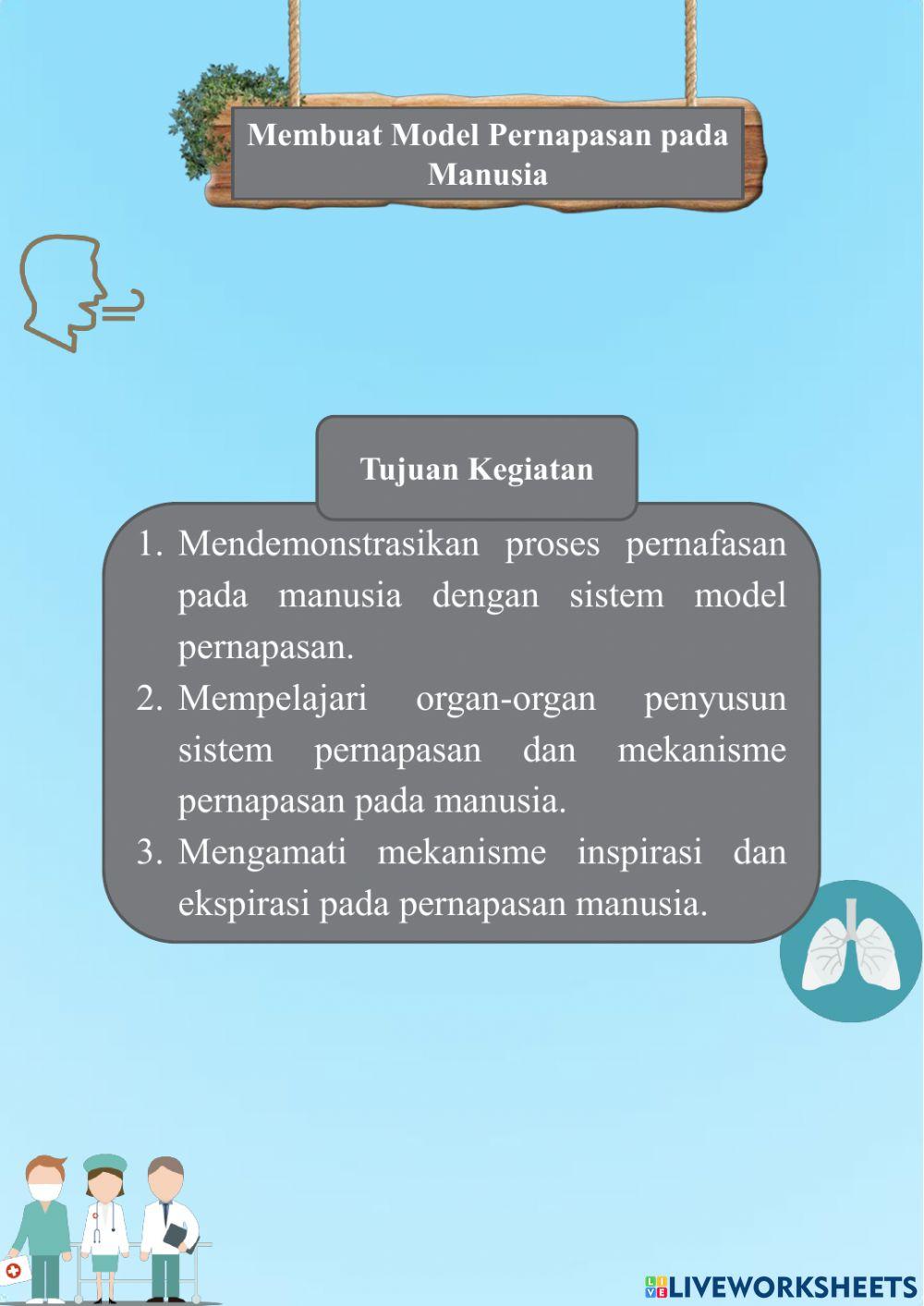 Sistem pernapasan manusia