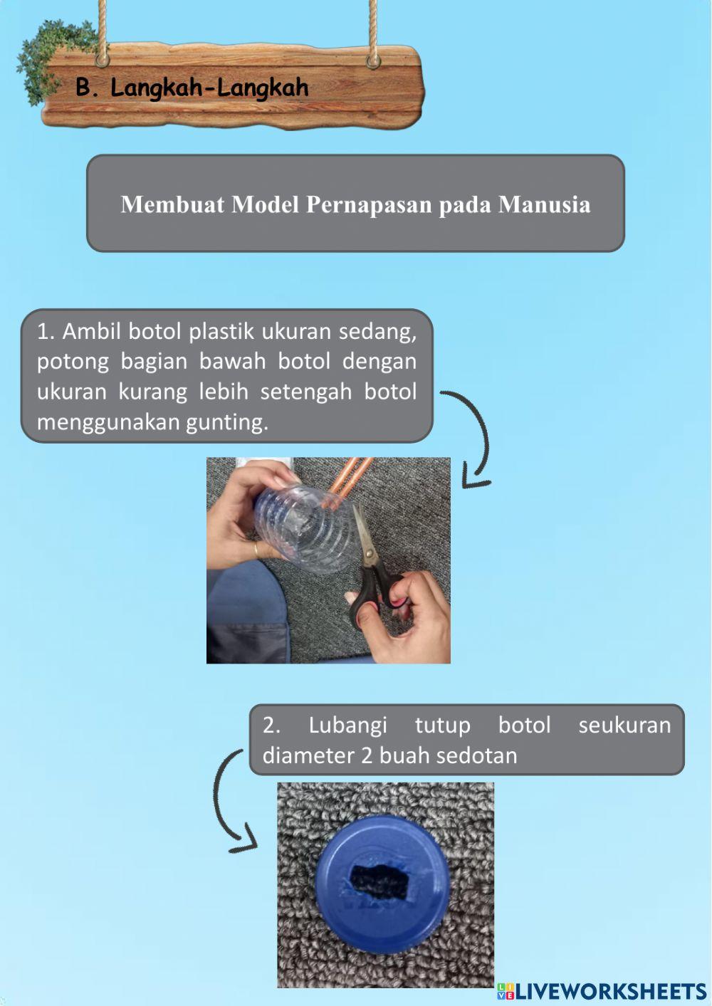 Sistem pernapasan manusia