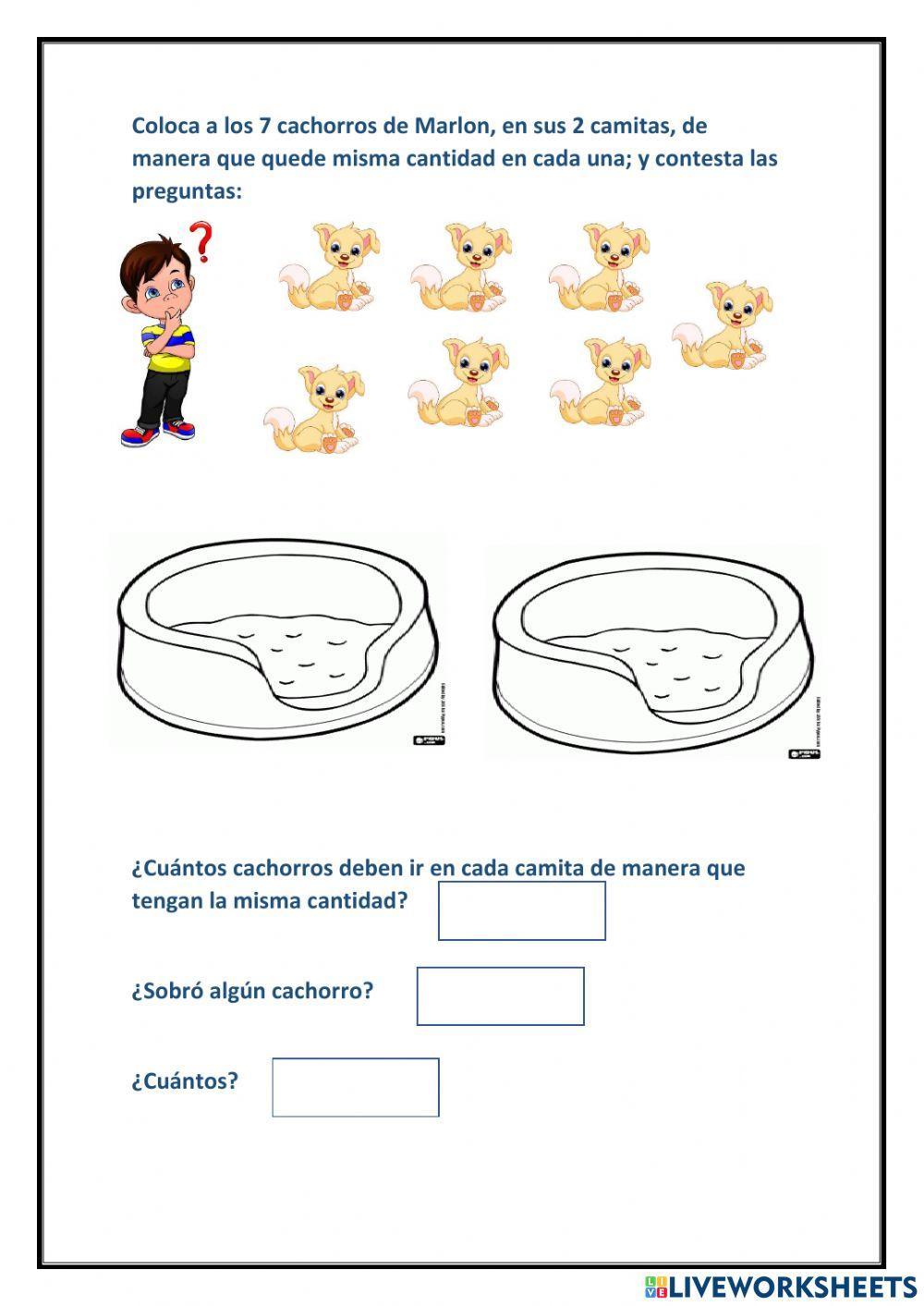 Noción de división