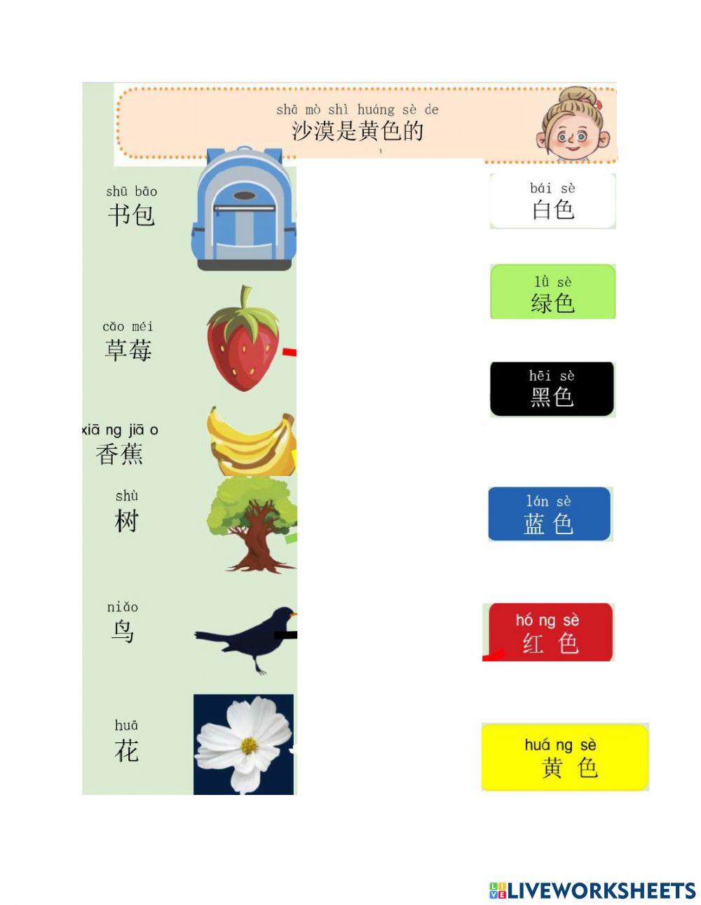 沙漠是黄色的-复习-1