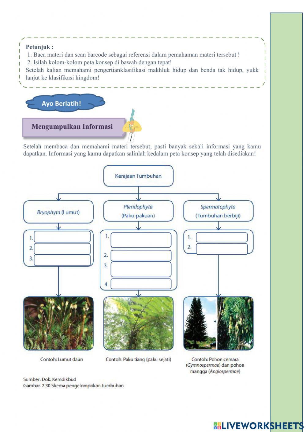 LKPD Klasifikasi Makhluk Hidup dan Benda Tak Hidup