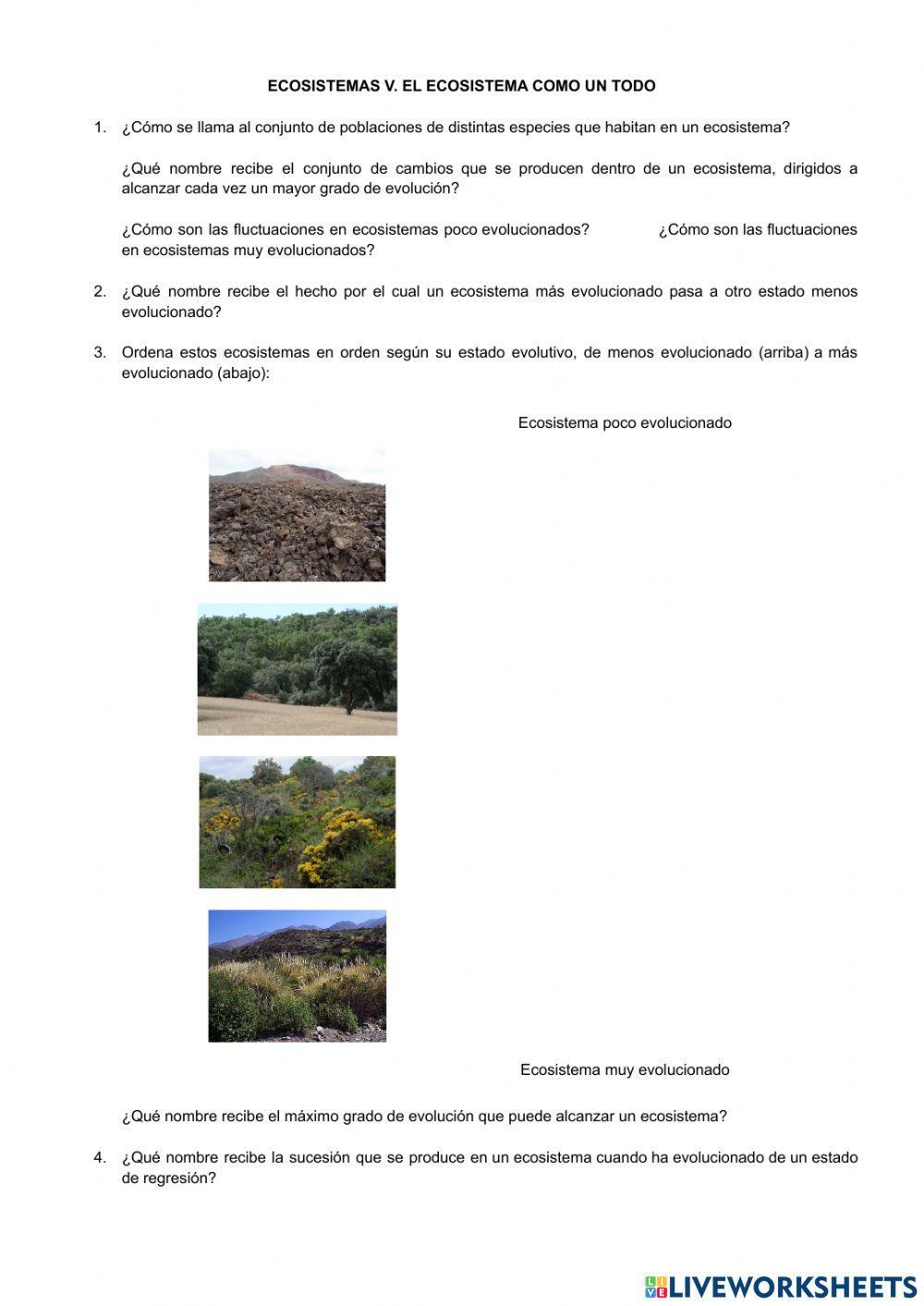 Ecosistemas V. El ecosistema como un todo