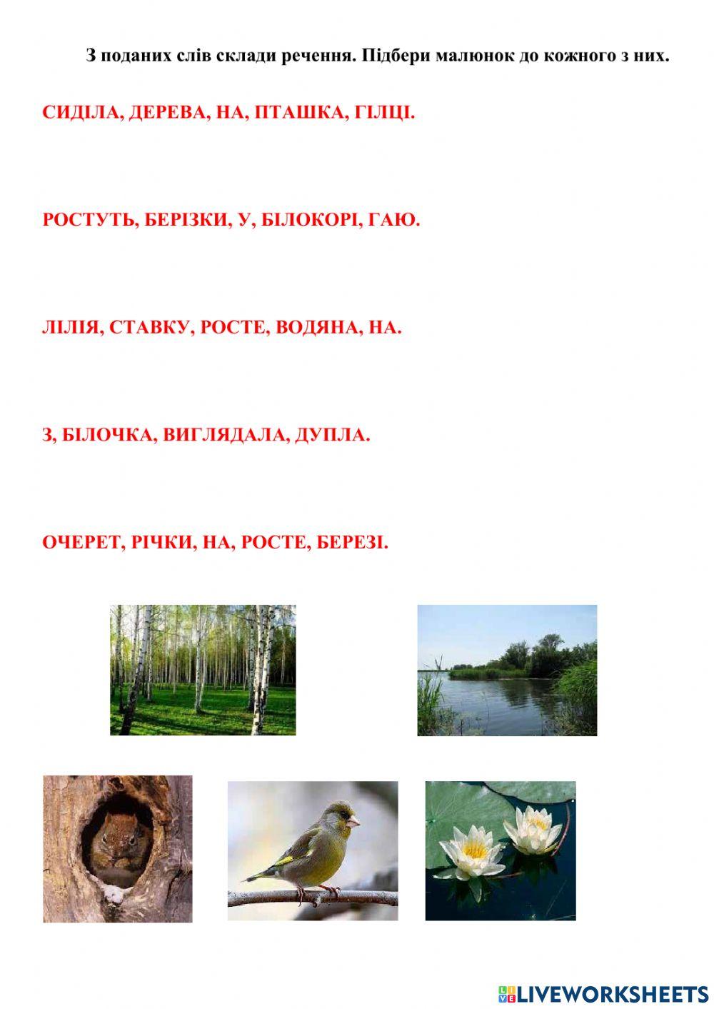 Будова тексту. Абзац.Речення