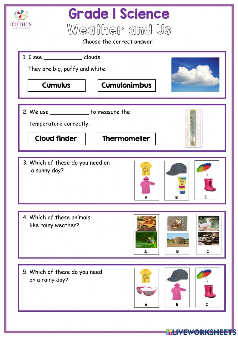 Review Weather