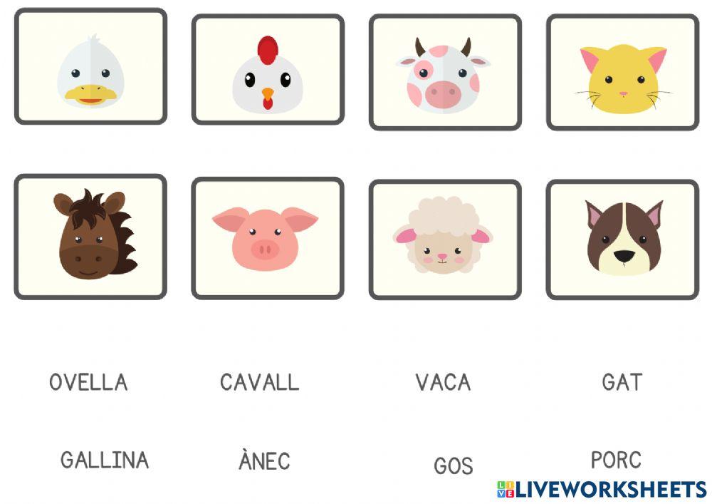 Relacionar nom-Animal