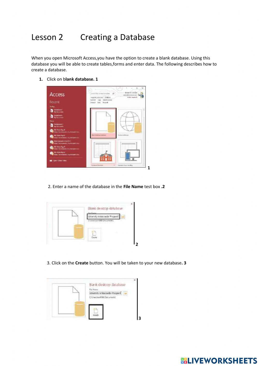 Lesson 2 Creating a database worksheet | Live Worksheets