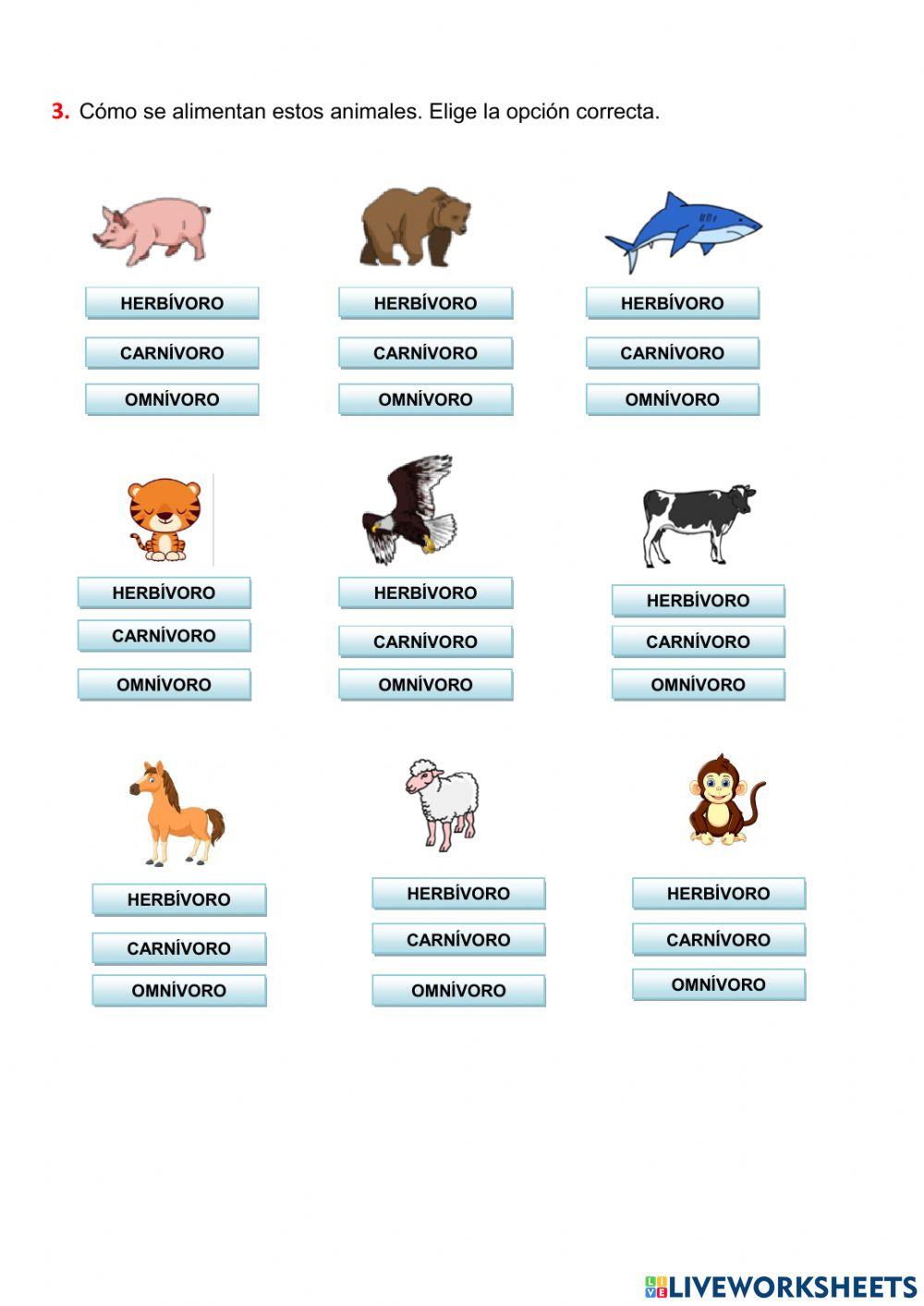 2º Primaria Tema 4: Los animales