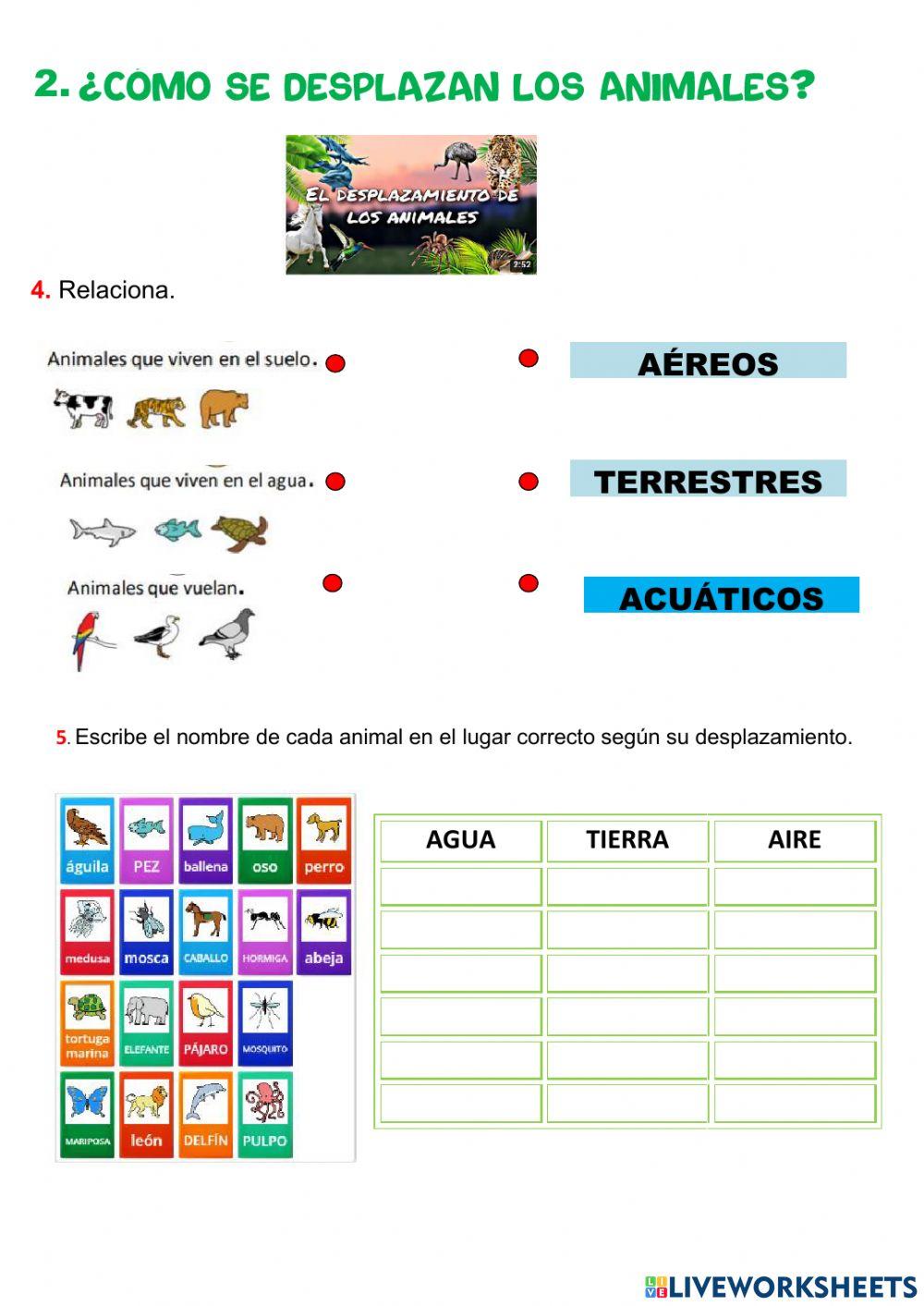2º Primaria Tema 4: Los animales