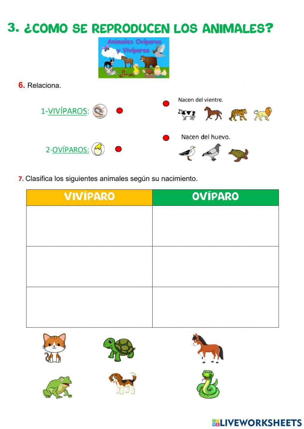 2º Primaria Tema 4: Los animales