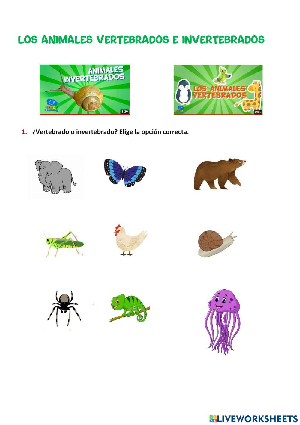 2º Primaria Tema 4: Los animales