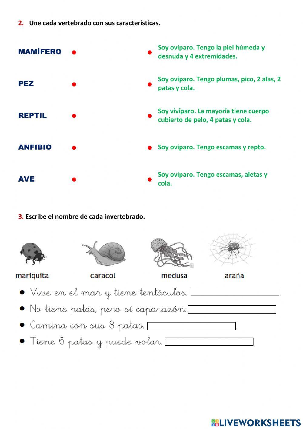 2º Primaria Tema 4: Los animales
