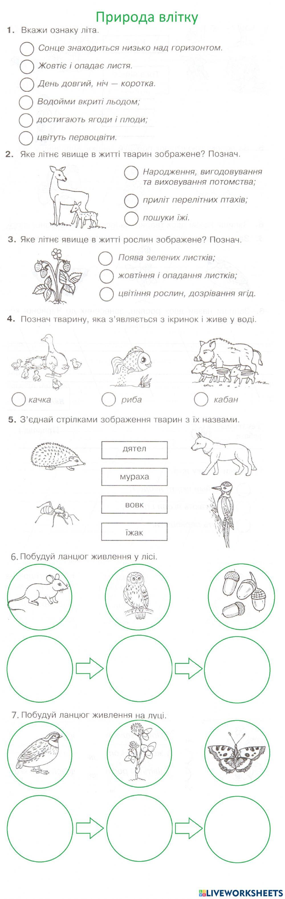 Я досліджую світ