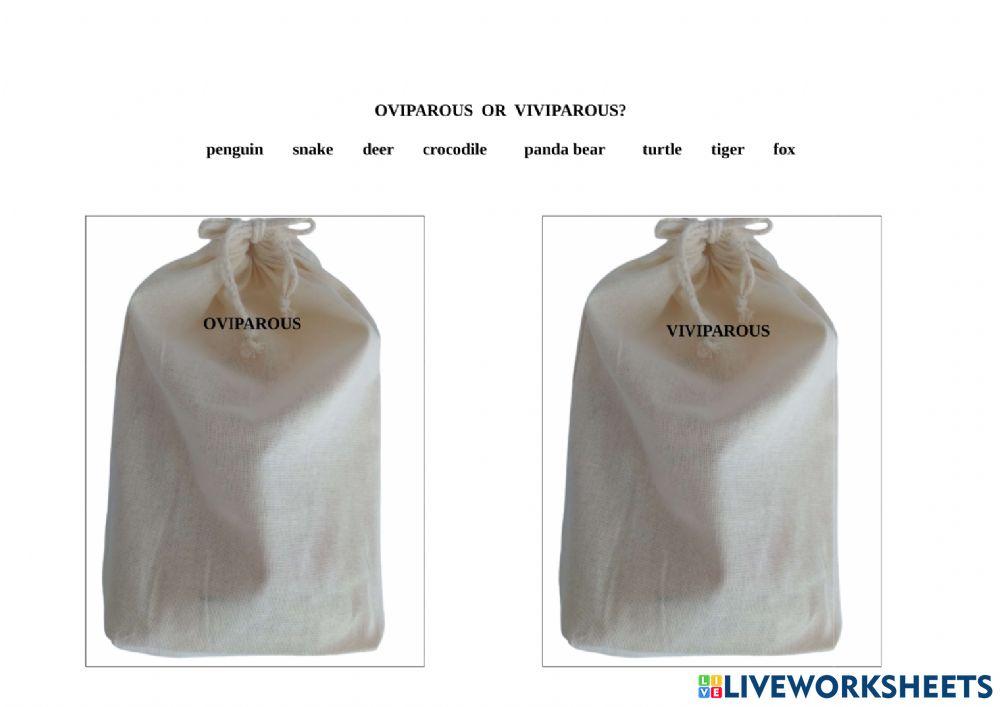 Oviparous or viviparous?