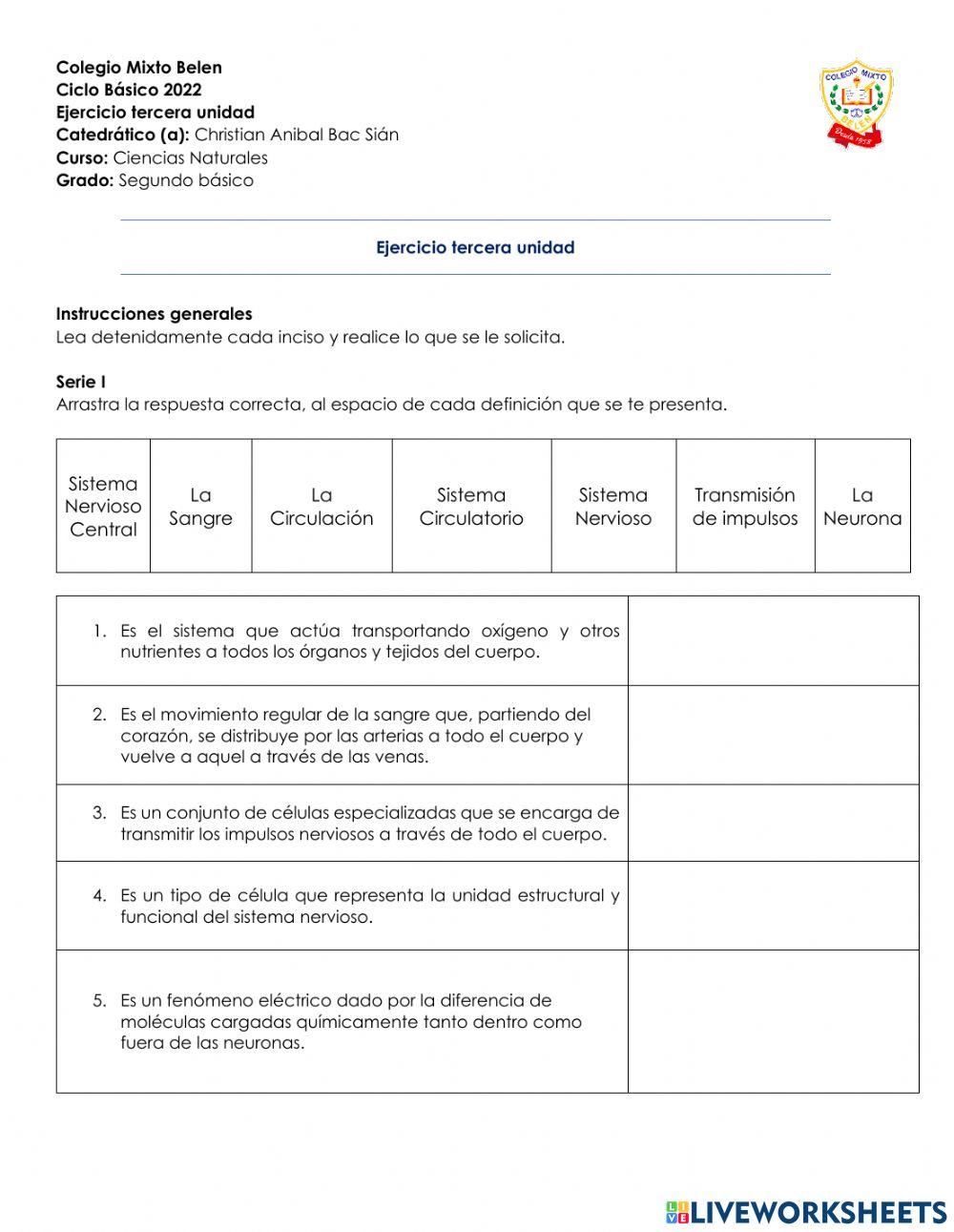 Sistema circulatorio y sistema nervioso