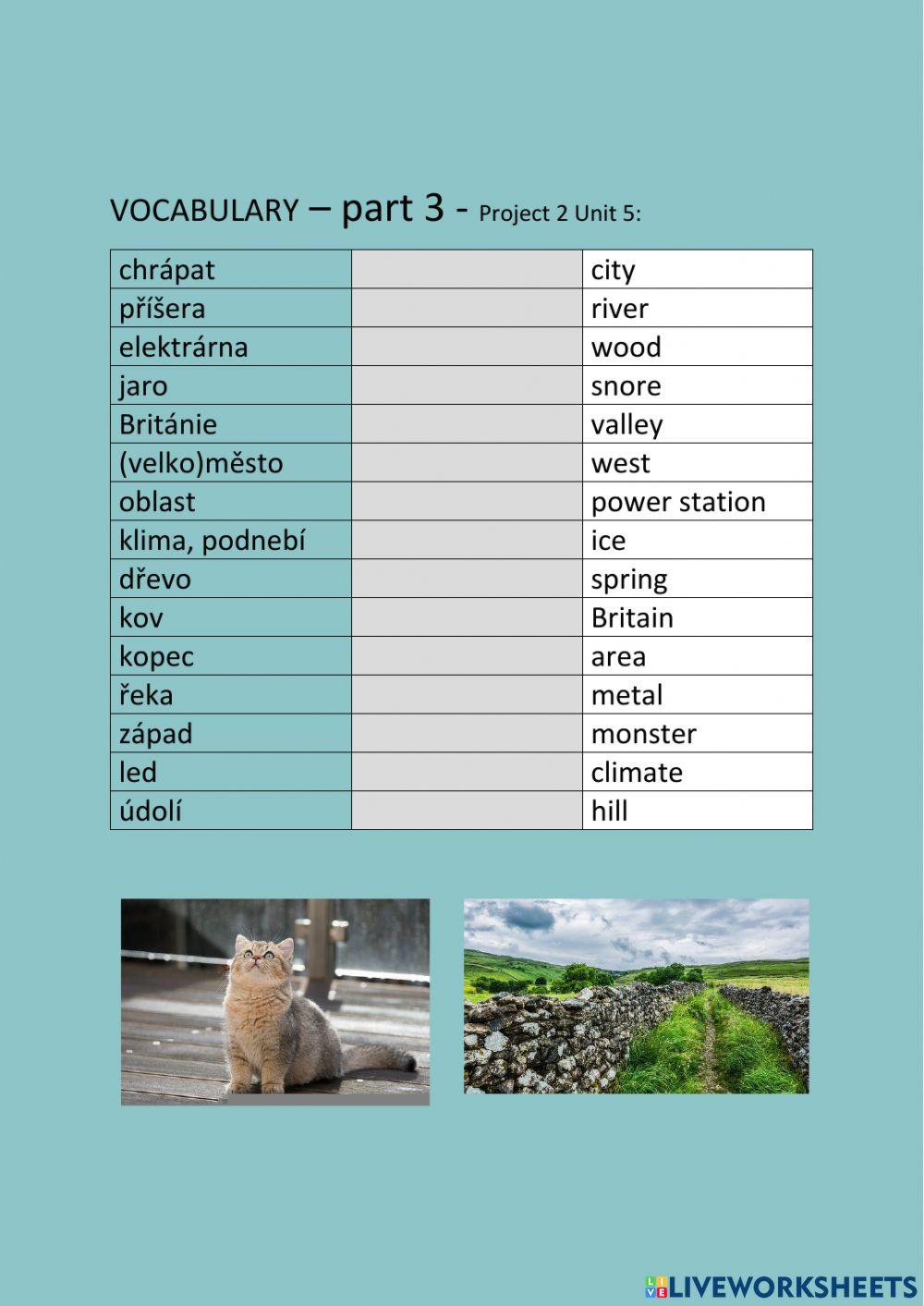 ANG 6 PROJECT 2 UNIT 5  - vocabulary - part 3 - drag and drop