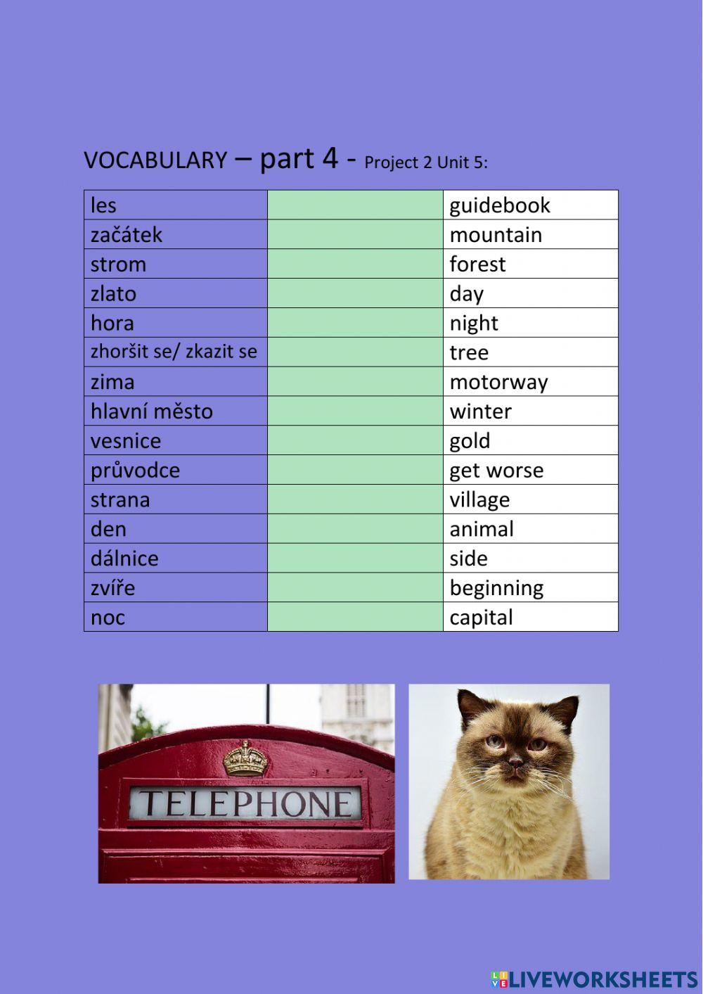 ANG 6 PROJECT 2 UNIT 5  - vocabulary - part 4 - drag and drop