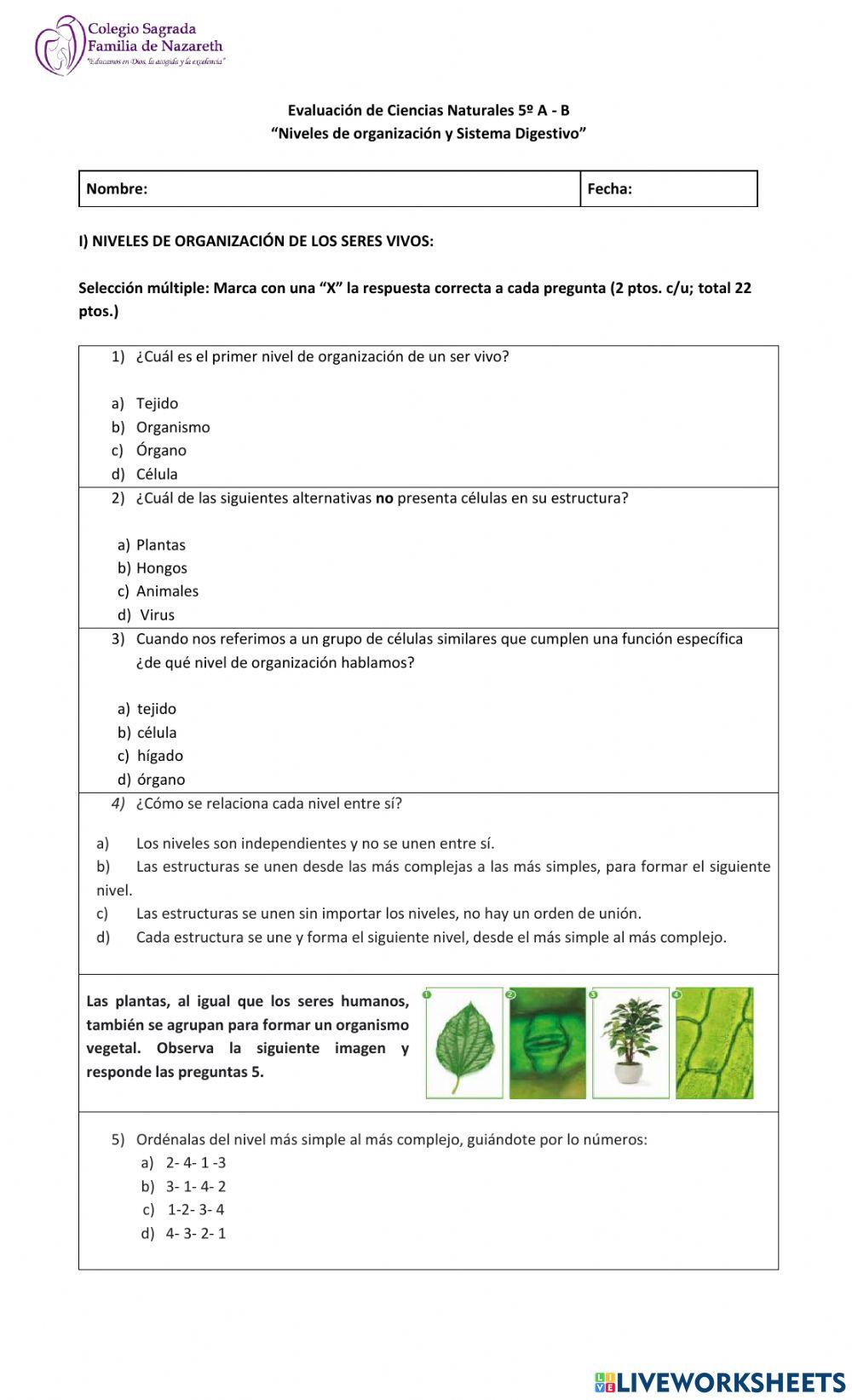 Sistema digestivo y niveles de organización