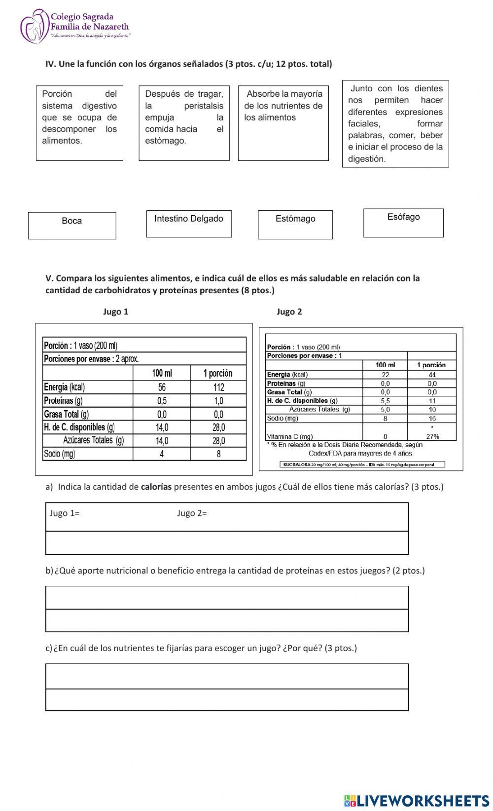 Sistema digestivo y niveles de organización
