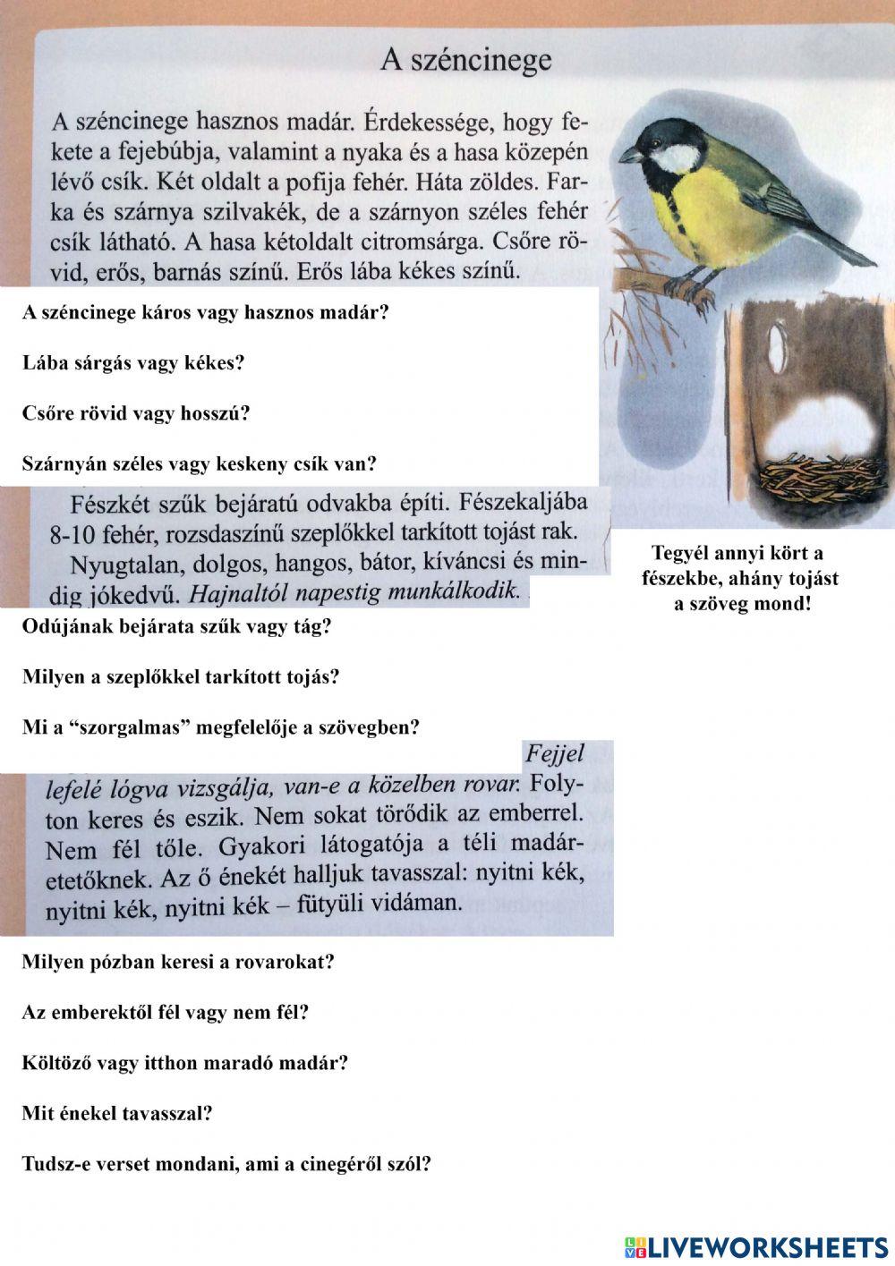 Széncinege- szövegértés