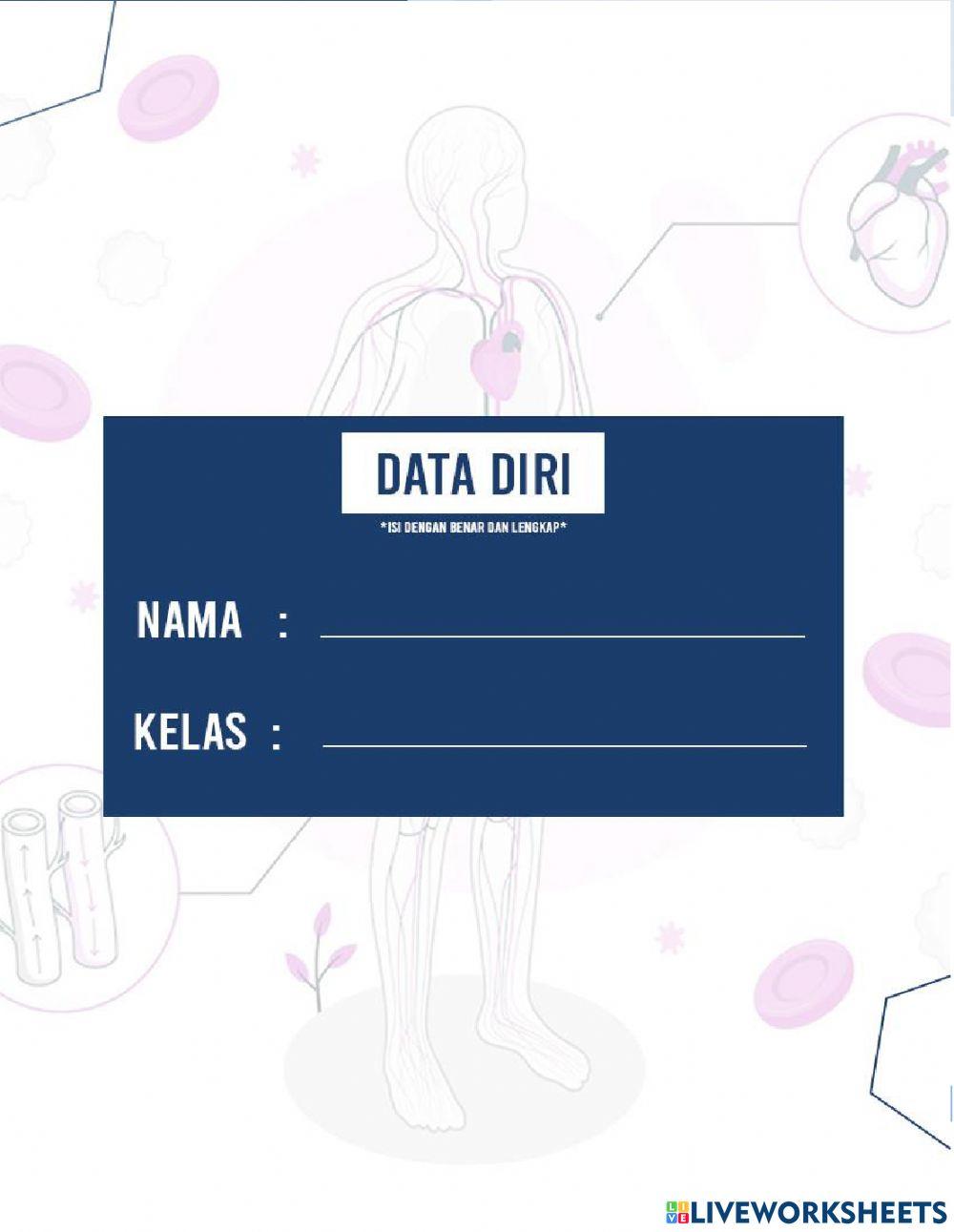 Sistem Peredaran Darah