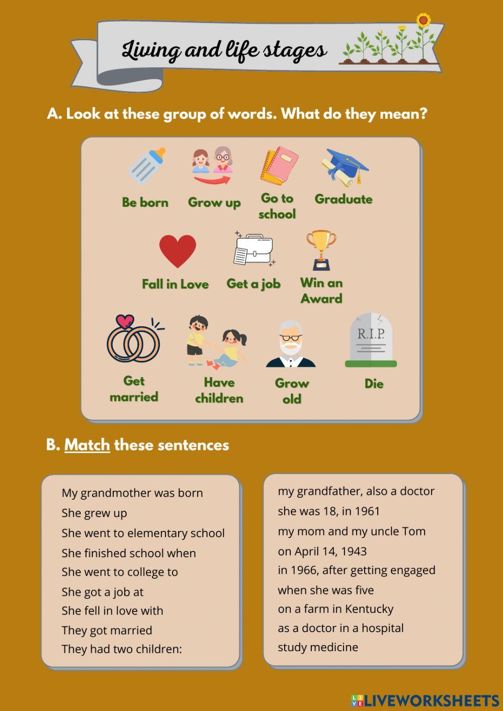 Biography of Marie Curie