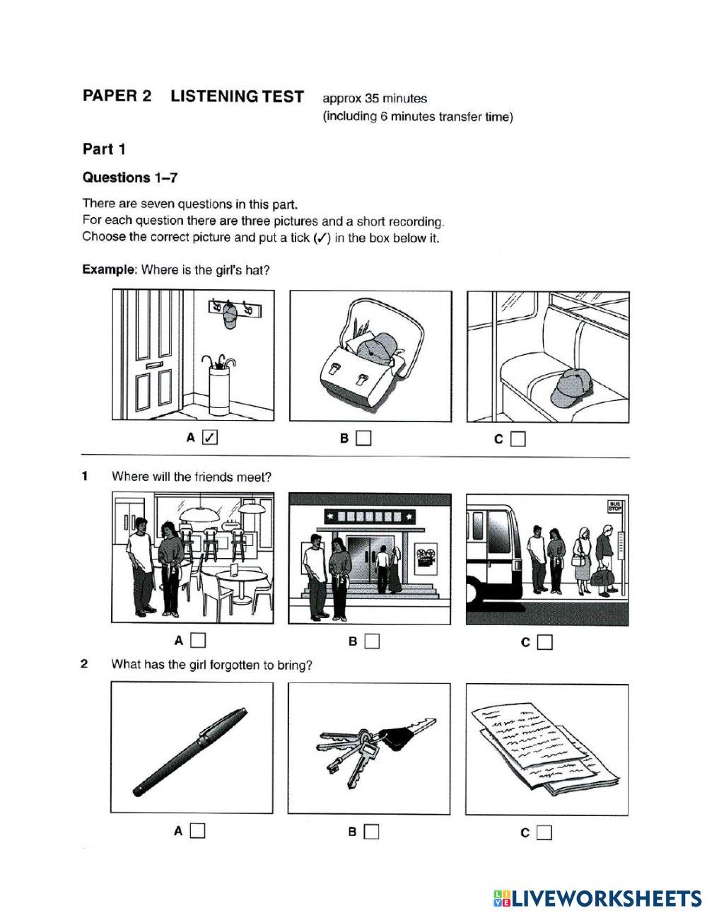 Pet listening homework 17