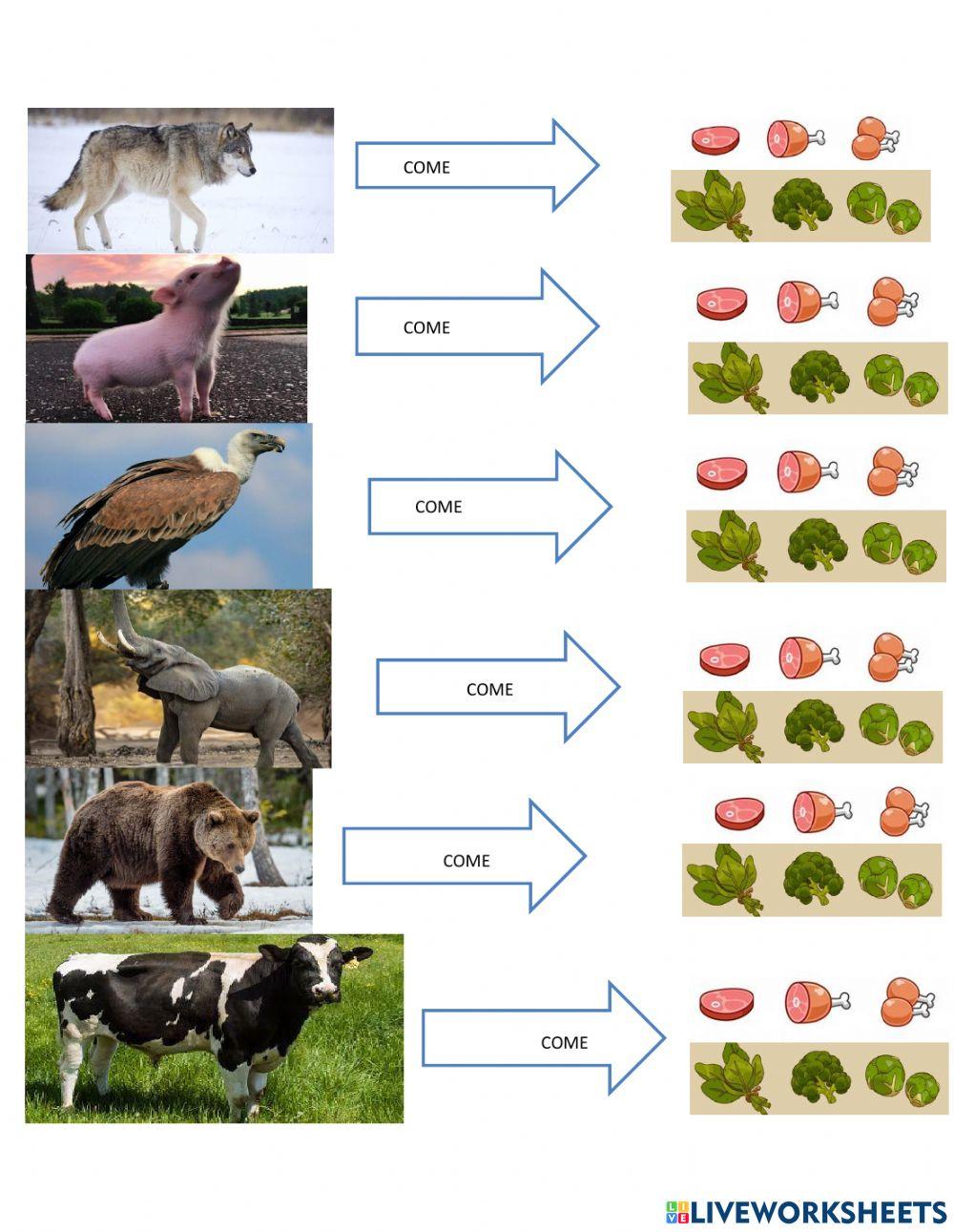 Selecciona la dieta correcta