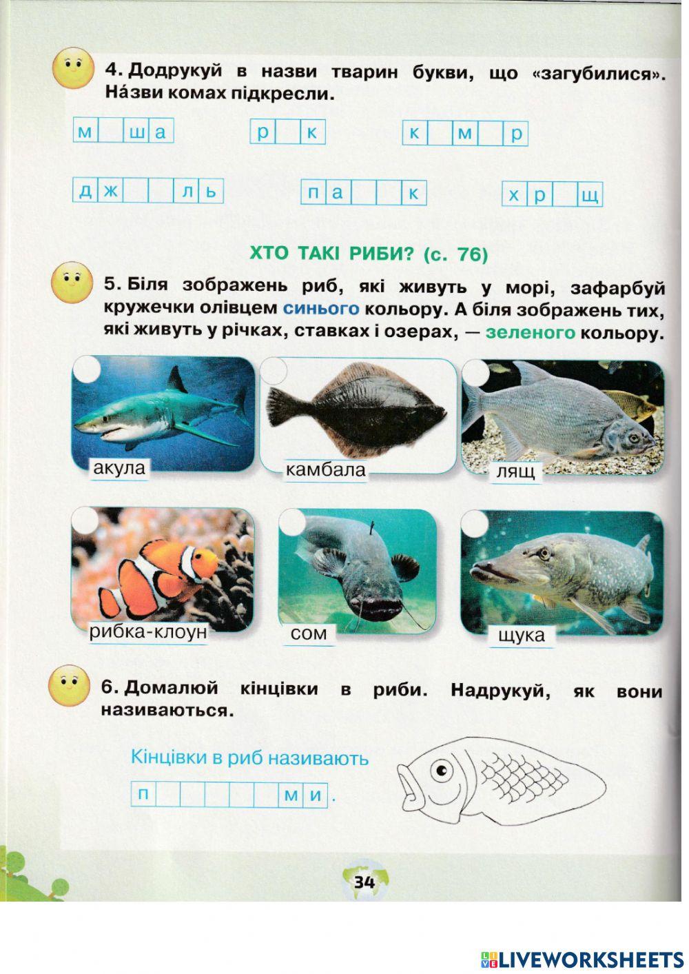 ЯДС Грущинська 1 клас