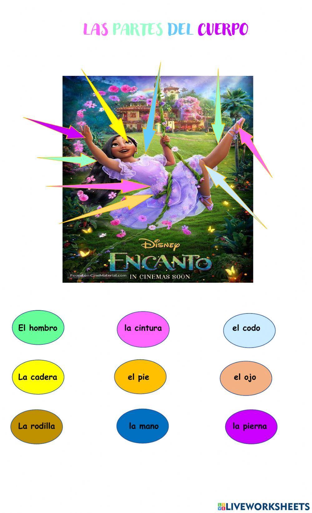 Las Partes del Cuerpo