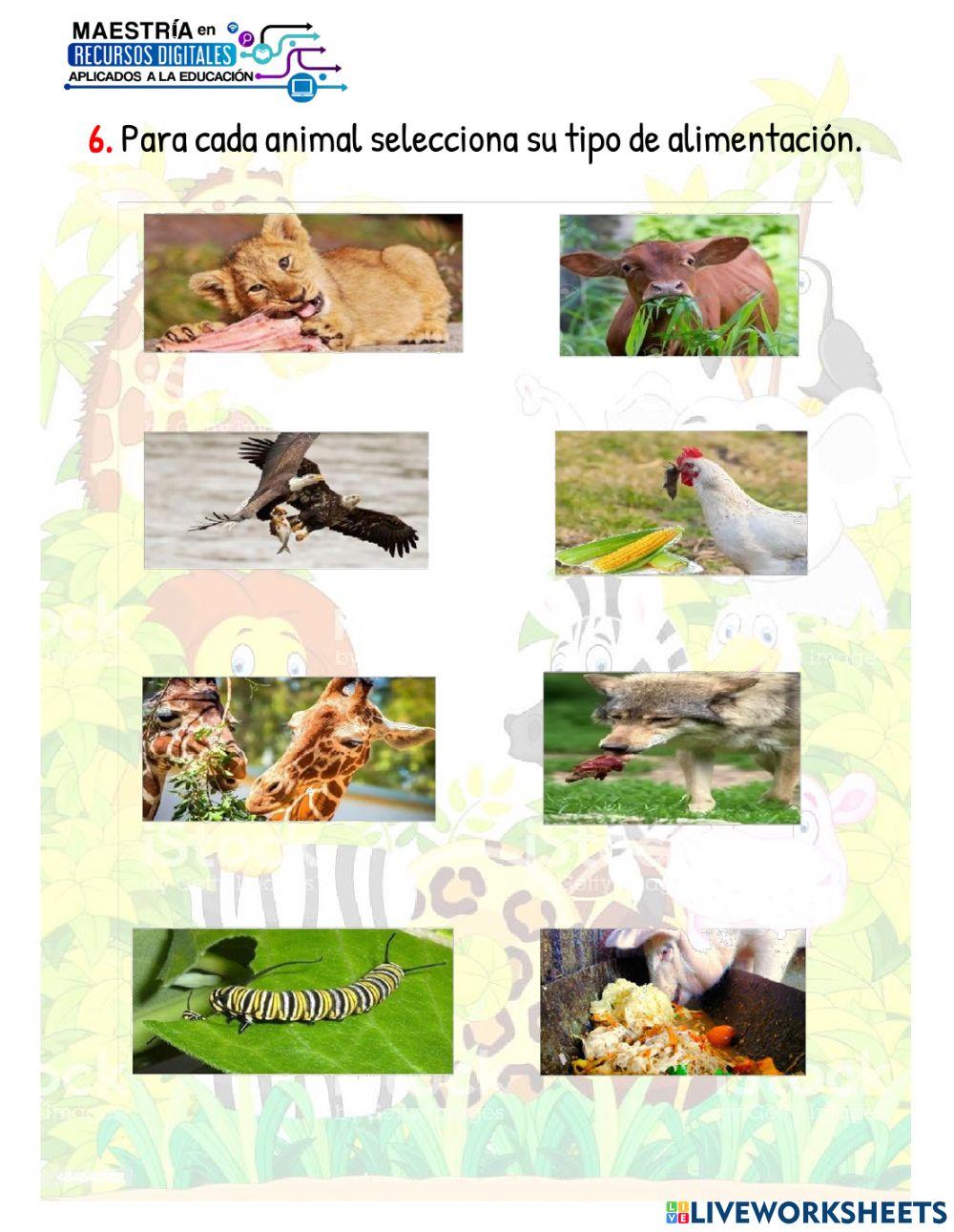 Alimentación de los animales