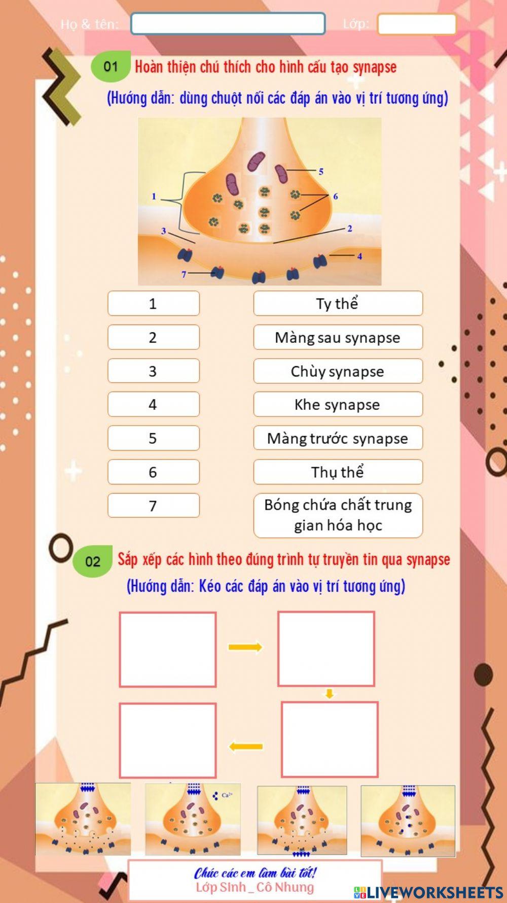 Truyền tin qua Synapse