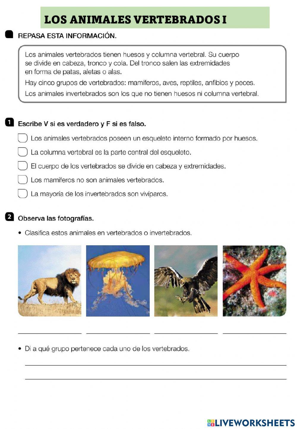 LOS VERTEBRADOS 1