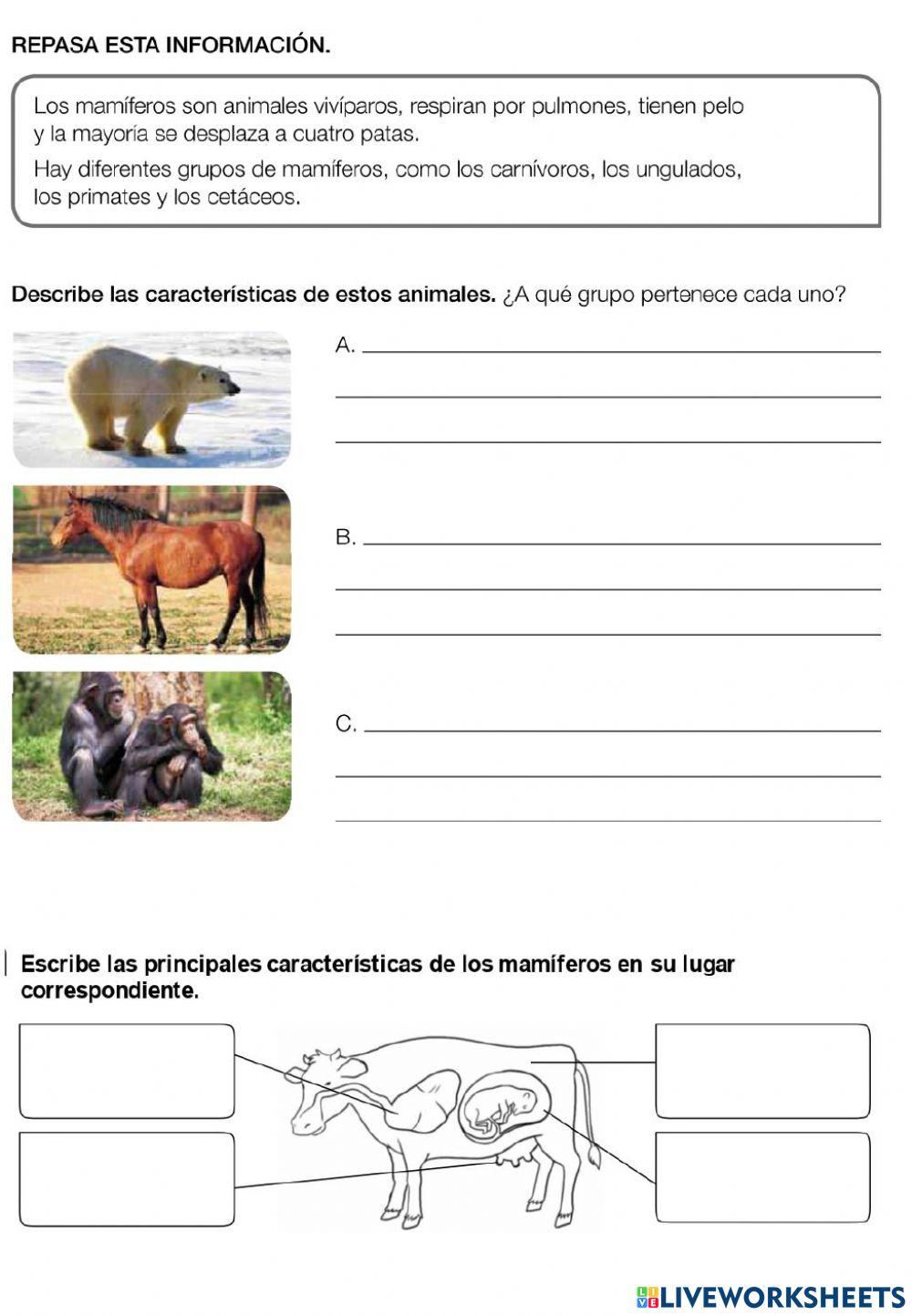 LOS VERTEBRADOS 1